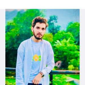 Zohaib Hameed-Freelancer in Islamabad,Pakistan