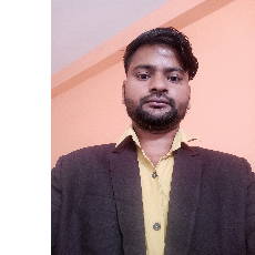 Vivek Kumar Mandal-Freelancer in Delhi,India