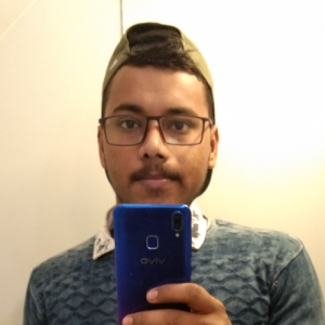 Anchal Hansraj-Freelancer in Mohali,India