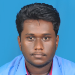 Francis Arul Arokiam R-Freelancer in Cuddalore,India