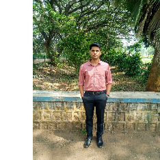 Sanjay Kumar-Freelancer in Sandur,India
