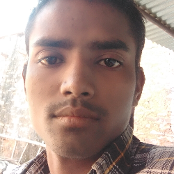 Bahadur Singh Adiwasi-Freelancer in Damoh,India