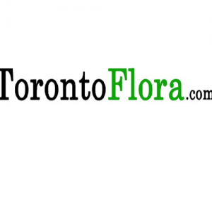 Toronto Flora-Freelancer in Toronto,India