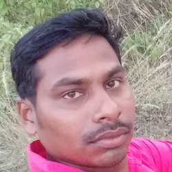Gajindra Bag-Freelancer in bargarh,India