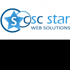 Csc Star-Freelancer in Lucknow,India