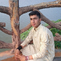Zain Syed-Freelancer in ,Pakistan