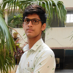 Sandesh Hegde-Freelancer in Bengaluru,India