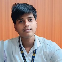 Vikash Kumar-Freelancer in Noida,India