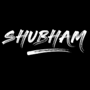 Shubham Singla-Freelancer in BATHINDA,India