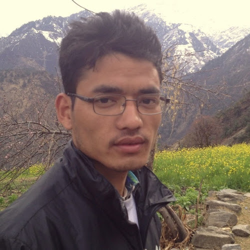 Dhirendra Kunwar-Freelancer in ,Nepal