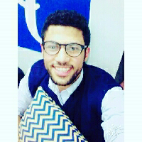 Mahmoud Elsayed-Freelancer in ,Egypt