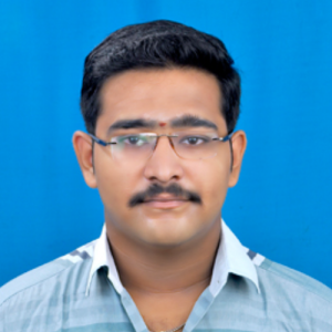 Sundaresan Rajasekar-Freelancer in Panruti,India