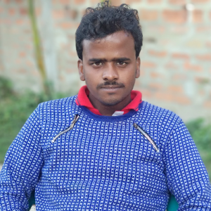 Inzamamul Hoque-Freelancer in Darrang,India
