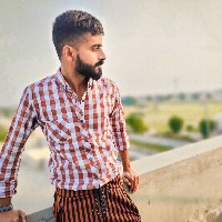 Hamza Hafeez-Freelancer in Rahim Yar Khan,Pakistan