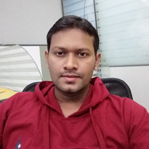 Ramesh Mamidi-Freelancer in Hyderabad,India