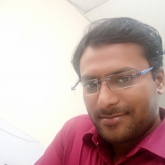 Nitish Kumar-Freelancer in Noida,India