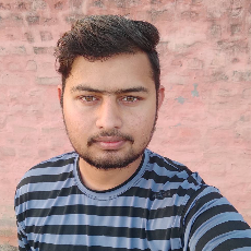 Sahil Narwal-Freelancer in Sonipat,India