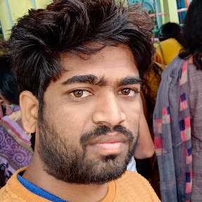 Praveen Metri-Freelancer in Mudalgi,India