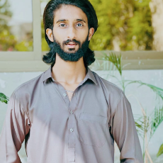 Shahzaib Hashmi-Freelancer in Sialkot,Pakistan