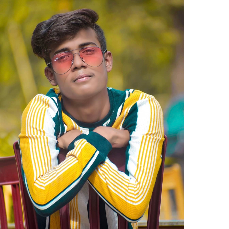 Ankit Kumar-Freelancer in Patna,India