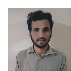 Zaheer Khan-Freelancer in Sahiwal,Pakistan