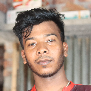Dipu Kumar Biswas-Freelancer in Dhaka,Bangladesh