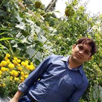 Manojkumar Patel-Freelancer in Kadi,India