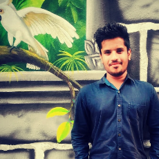 Rohit Tomar-Freelancer in Indore,India