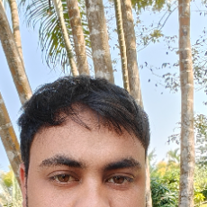 Deepak Kumar-Freelancer in Noida,India