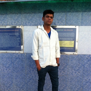 Prakash Kumar-Freelancer in chandigarh,India