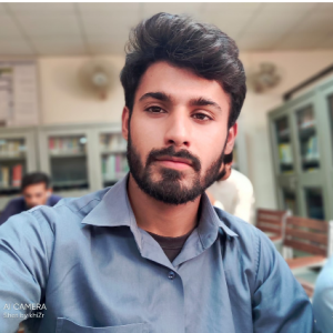 Muhammad Anas-Freelancer in Multan,Pakistan