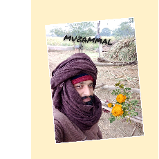 Muzammal Hussain-Freelancer in Faisalabad,Pakistan