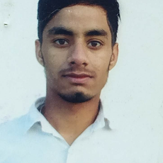 Shubhankar Thakur-Freelancer in Bilaspur (HP),India