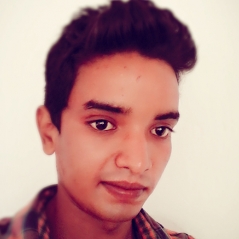 Deepak Raj-Freelancer in Lucknow,India