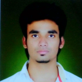 Syed Arman Hussain-Freelancer in raipur,India