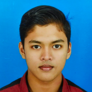 Muhammad Nadzirul Hakim-Freelancer in Seri Manjung,Malaysia