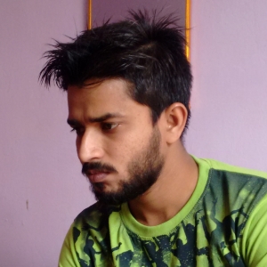 Rahul Ansari-Freelancer in Indore,India
