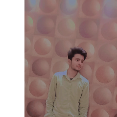 Kashif Saifi-Freelancer in Delhi, India,India