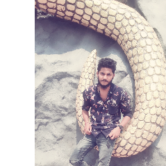 Pradeep Naik-Freelancer in Uttara kannada,India
