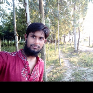 Hasan Ahmed-Freelancer in Rangpur,Bangladesh