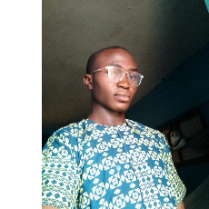 Wasiu Lateef-Freelancer in Ibadan North,Nigeria