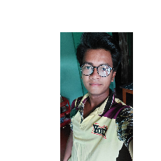 Biswajit Singh-Freelancer in Panskura, Purba Medinipur, West Bengal,India