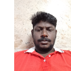Dhanasekar Subramani-Freelancer in Chennai,India