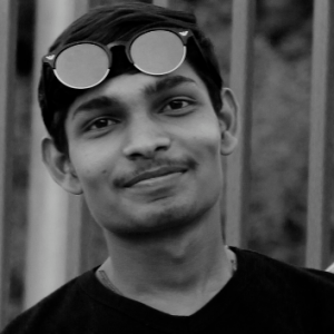 Mitesh Jayswal-Freelancer in AHMEDABAD,India