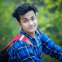 Rohit Kumar Sikdar-Freelancer in Noida,India