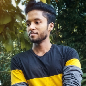 Subham Mitra-Freelancer in krishnanagar,India