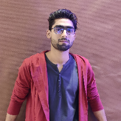 Salman Ali-Freelancer in Lucknow,India