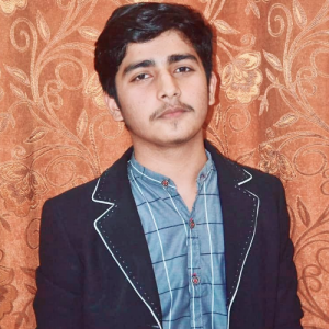 Hamza Ashraf-Freelancer in Lahore,Pakistan