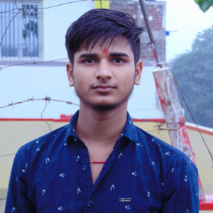Ritik Raushan-Freelancer in patna,India