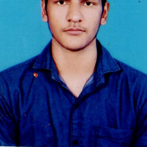 Vivek Chaudhay-Freelancer in Agra,India